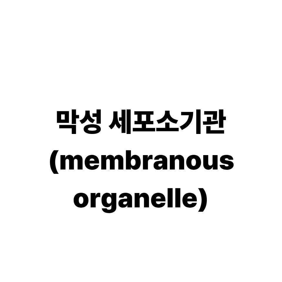막성 세포소기관
