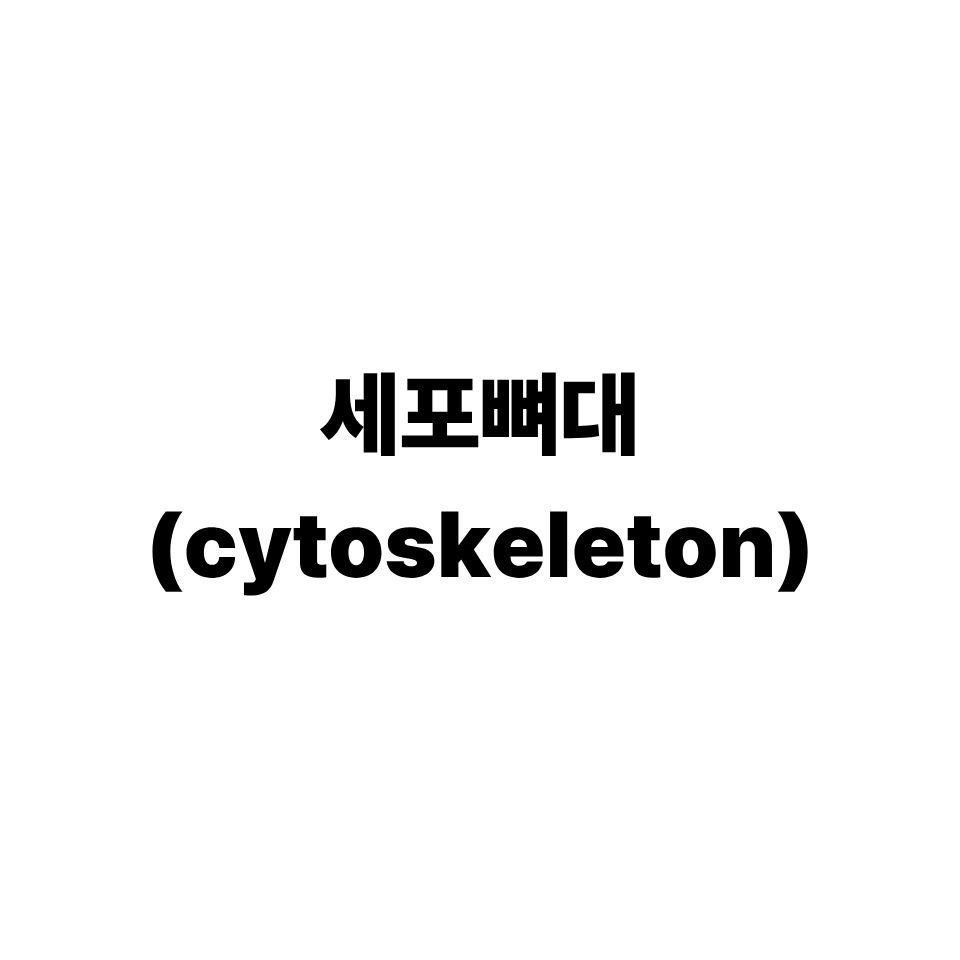 세포뼈대