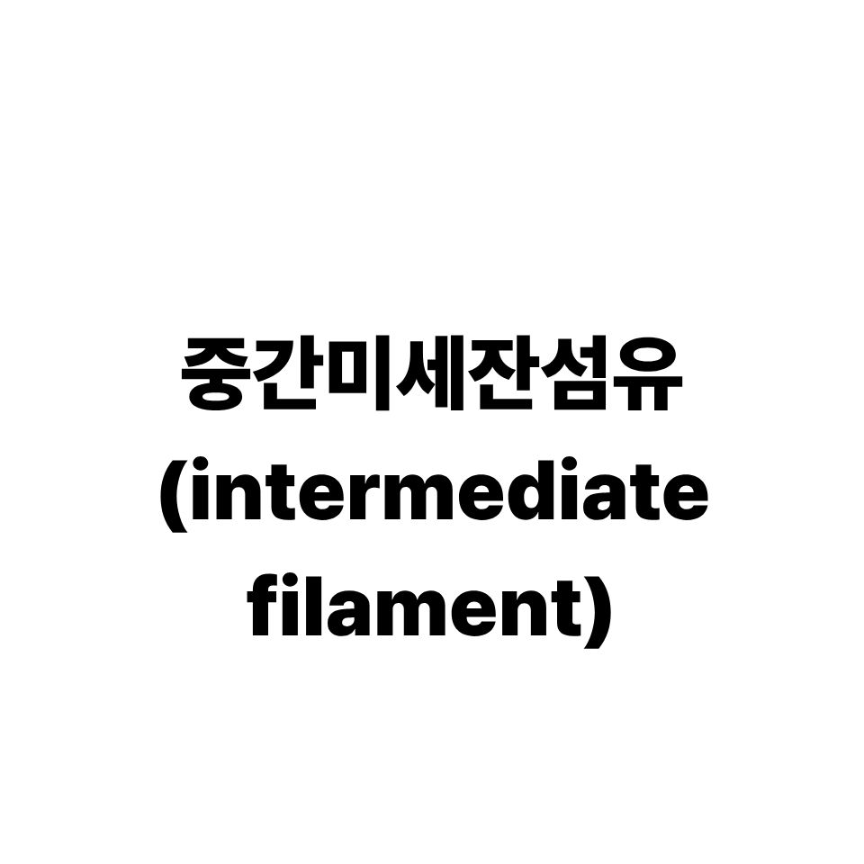 중간미세잔섬유