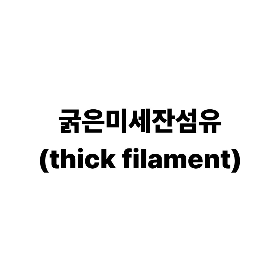 굵은미세잔섬유