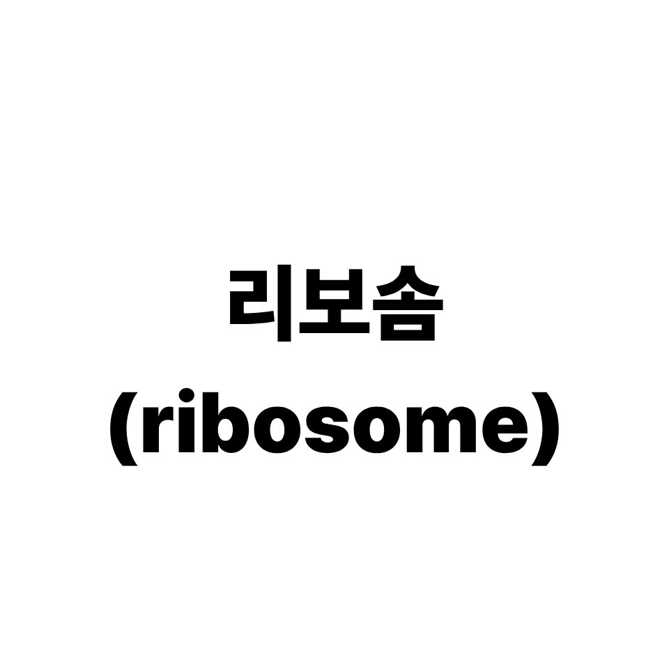 리보솜