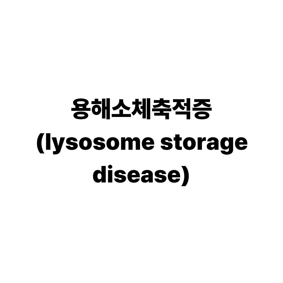 용해소체 축적 질환