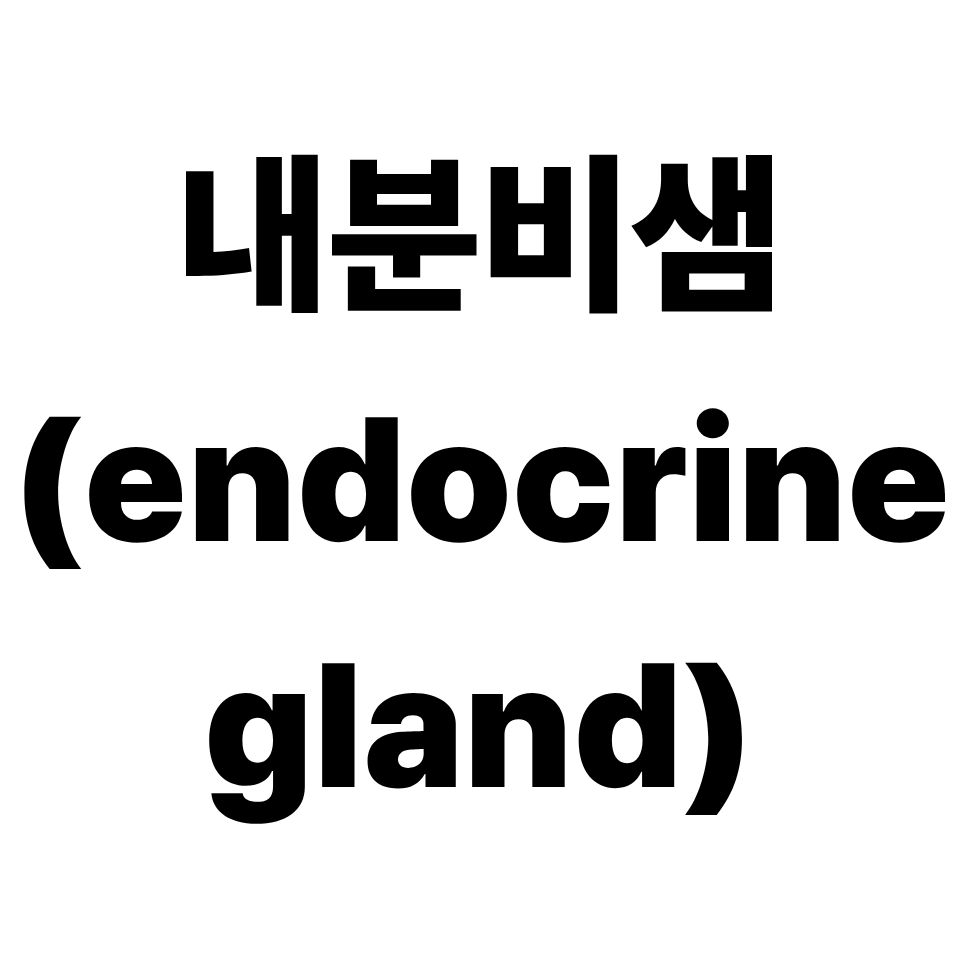 내분비샘