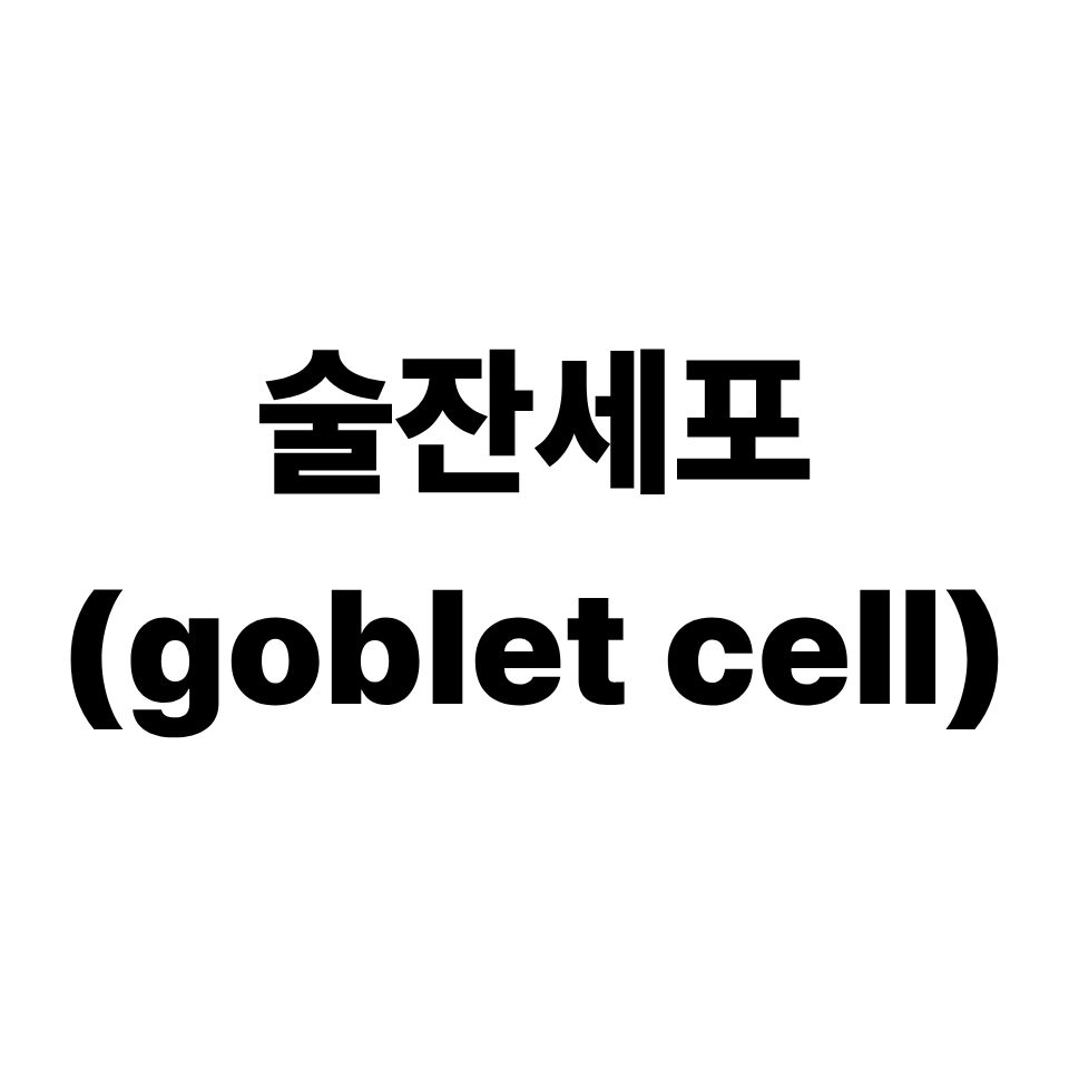 술잔세포