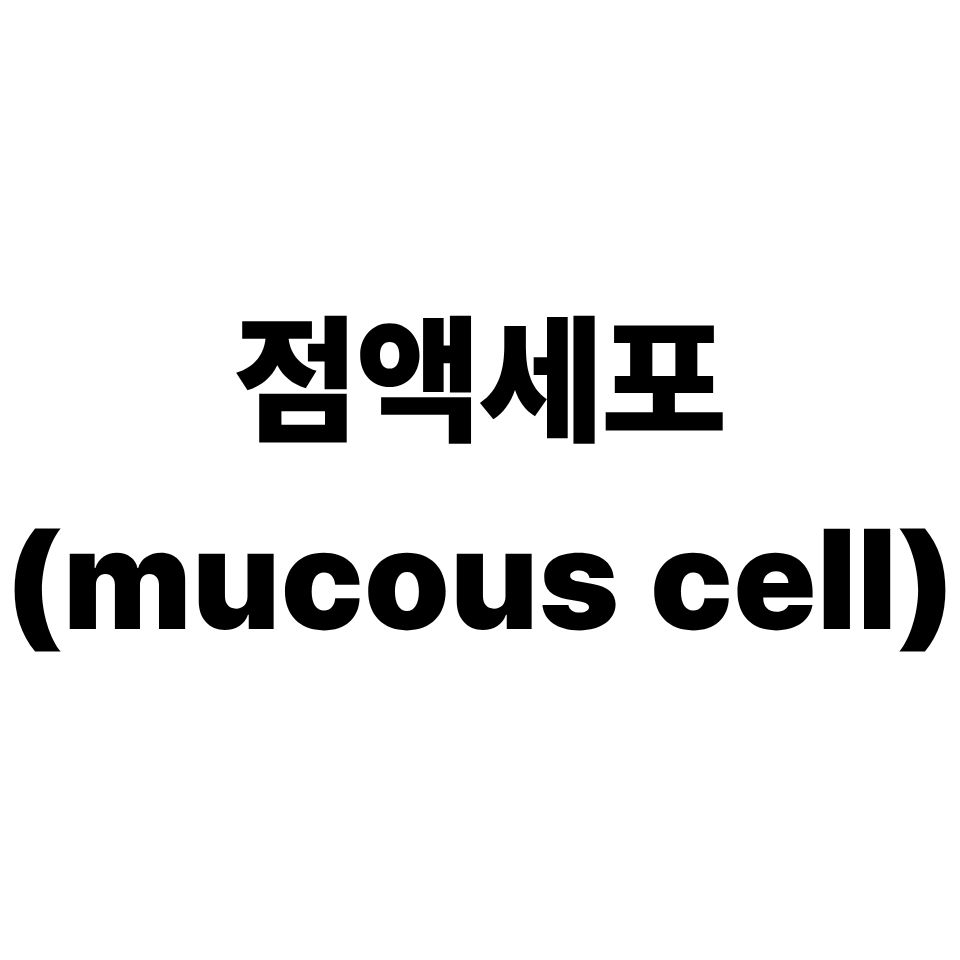 점액세포