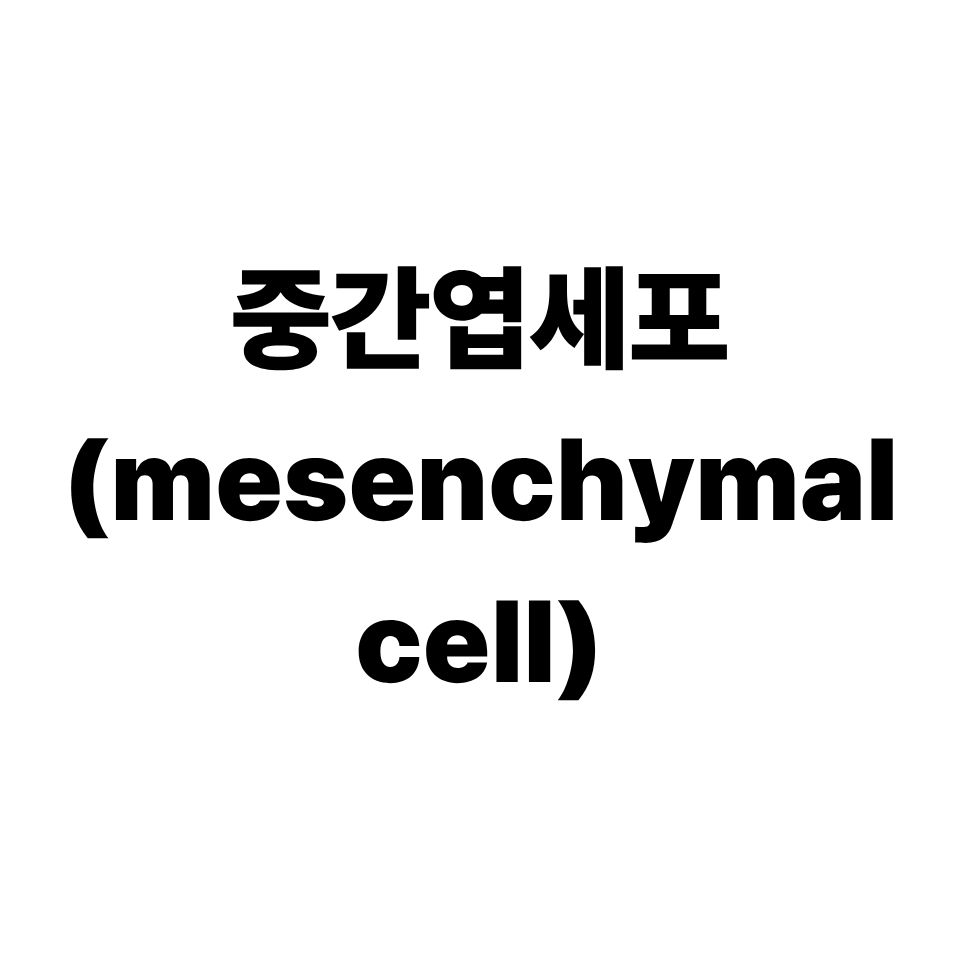 중간엽세포