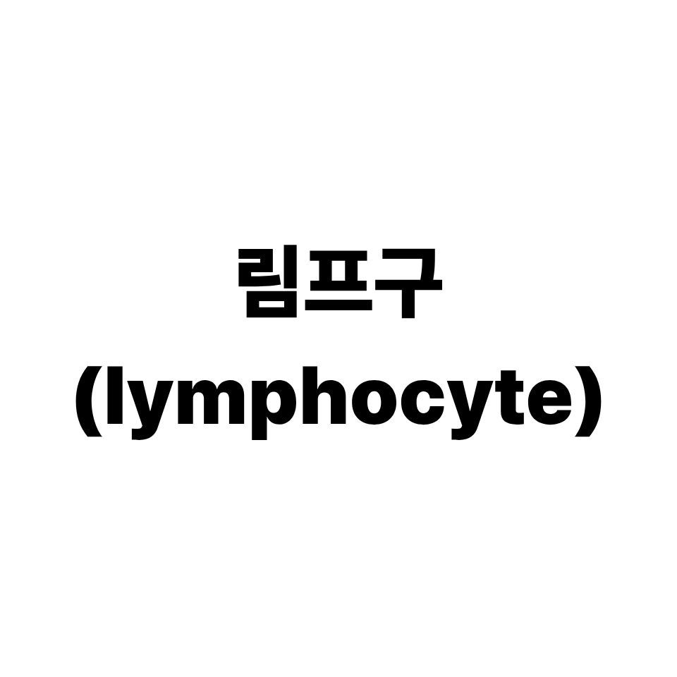 림프구