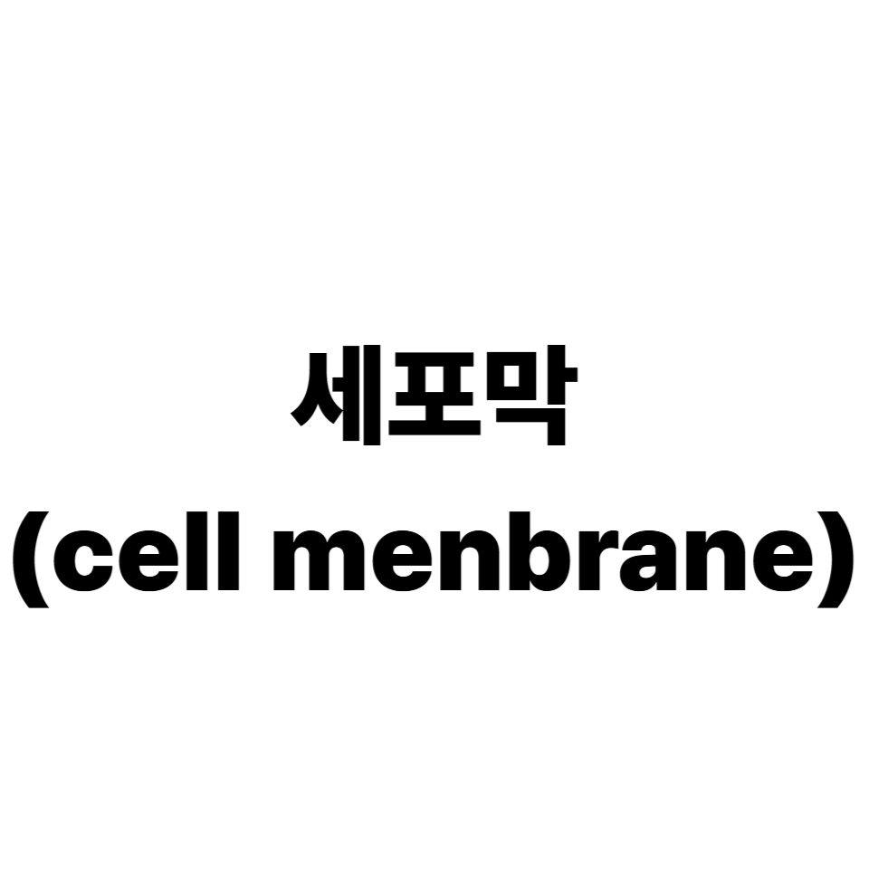 세포막