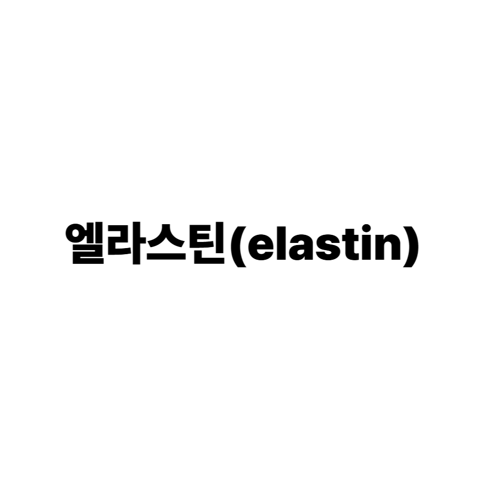 엘라스틴(elastin), 피부 탄력의 비밀을 파헤치다