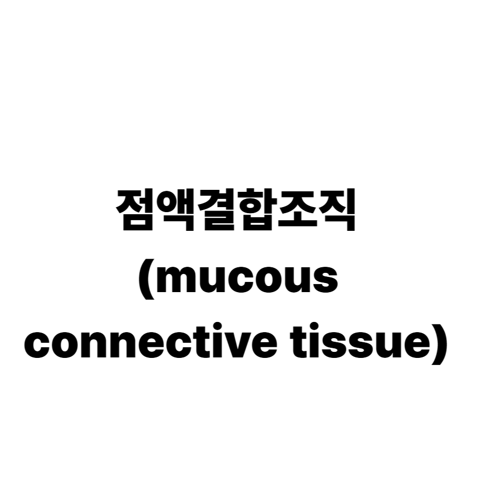 점액결합조직