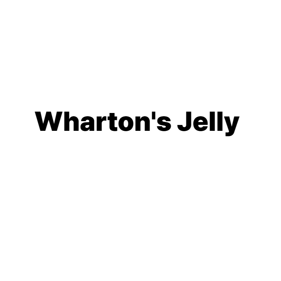 Wharton's Jelly