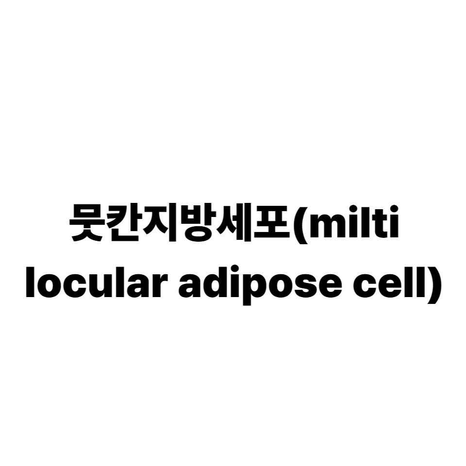 뭇칸지방세포