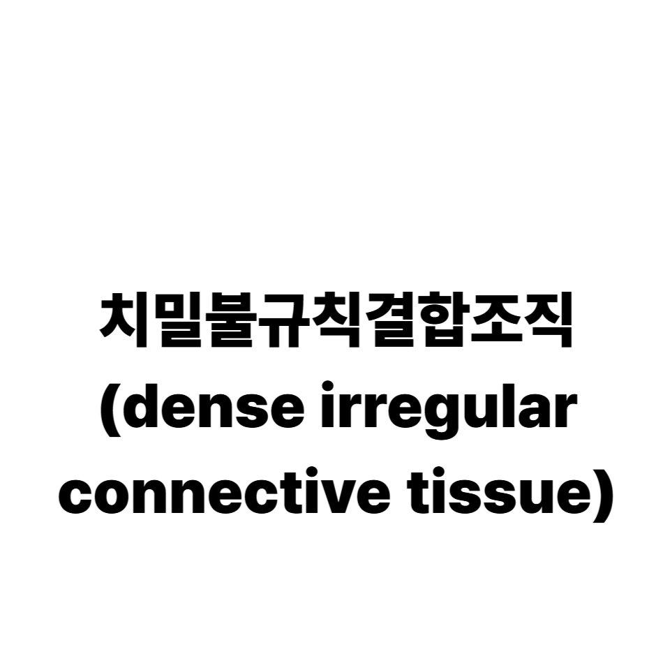치밀불규칙결합조직