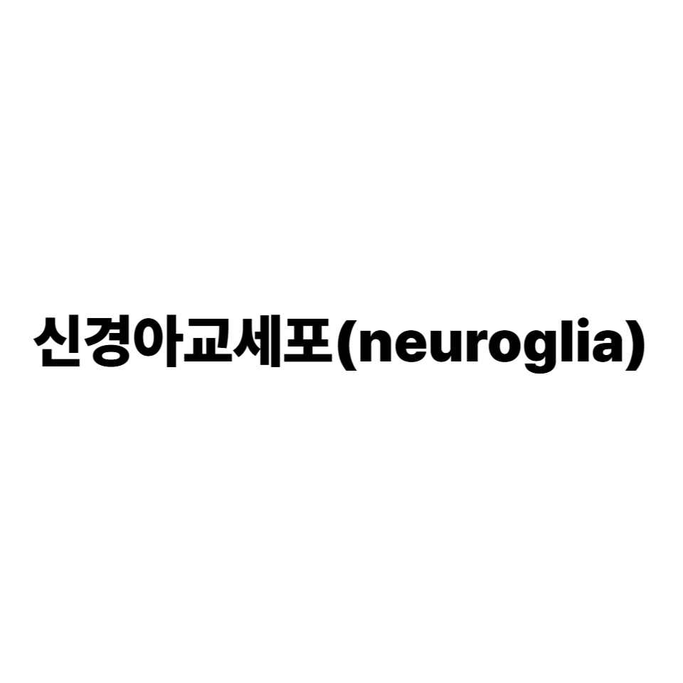 신경아교세포(neuroglia)