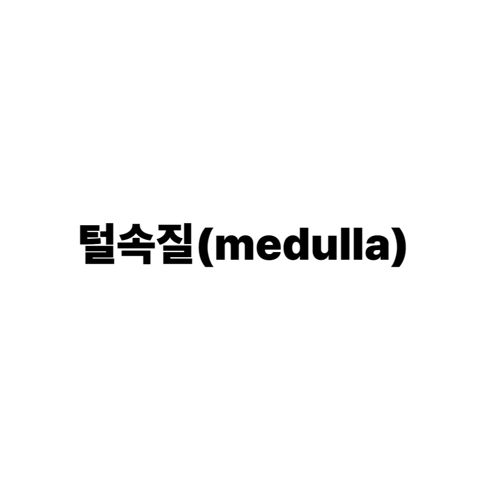 털속질