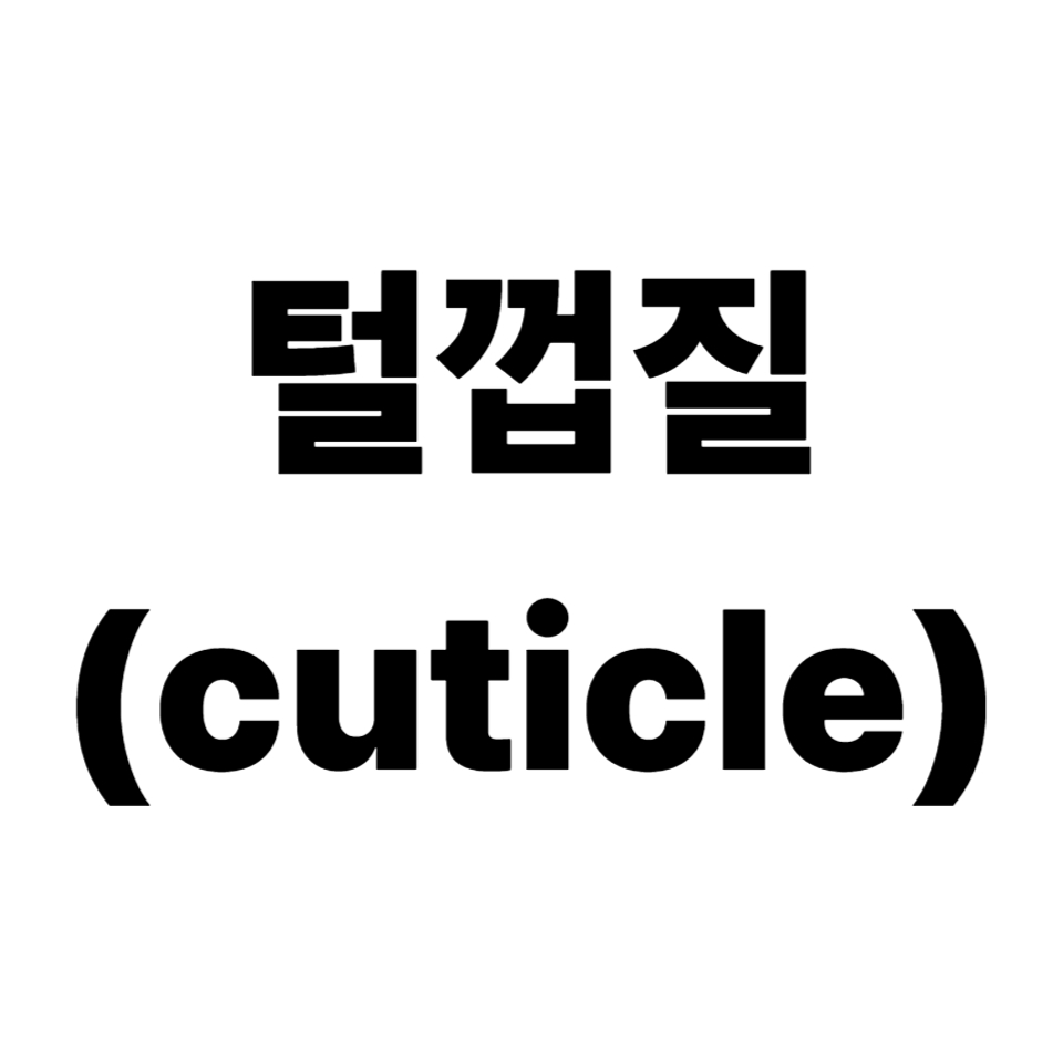 털껍질