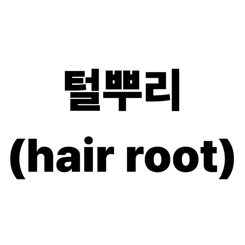 털뿌리