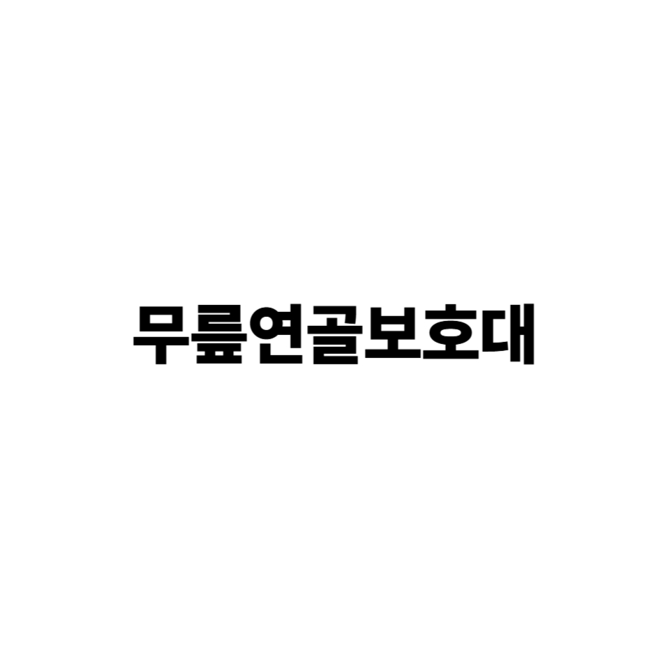 무릎 연골 보호대