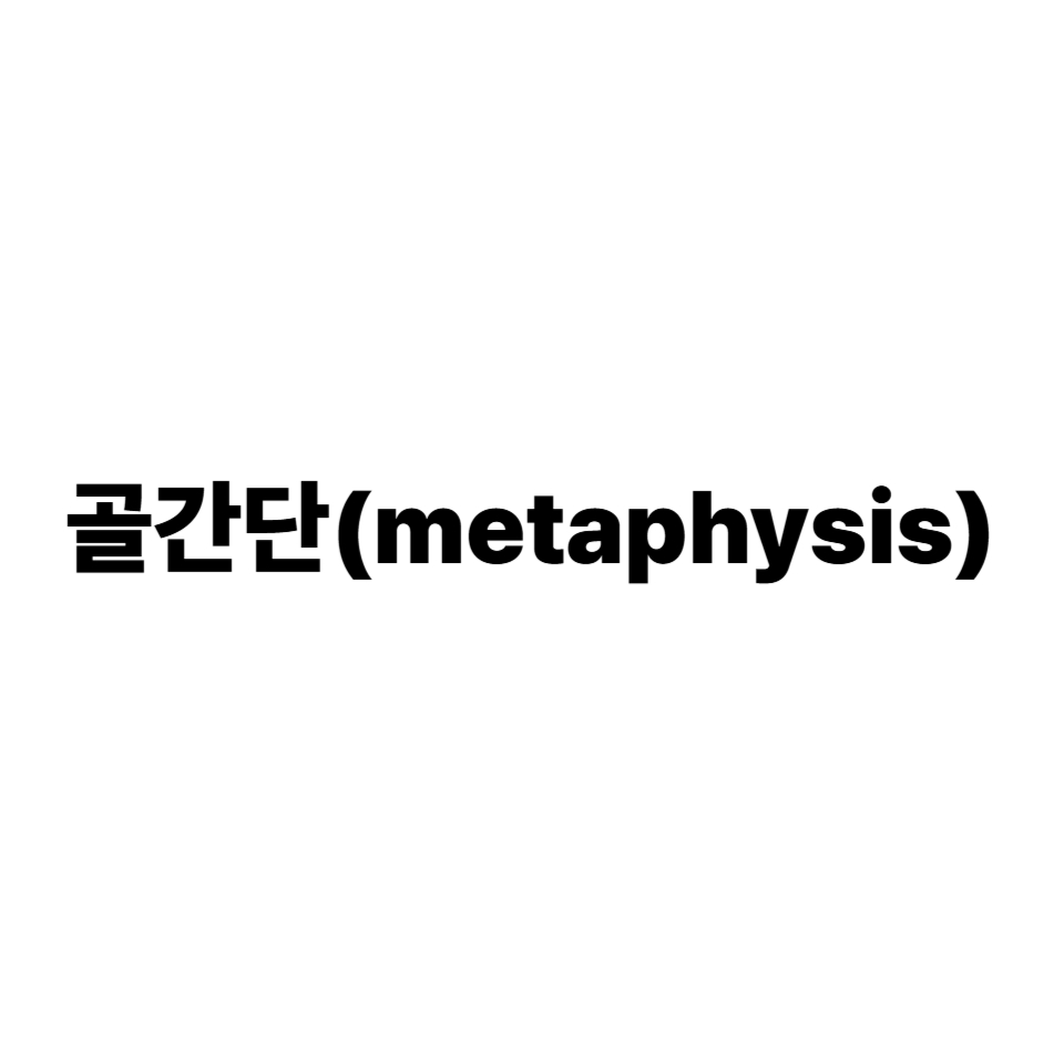 골간단(metaphysis)