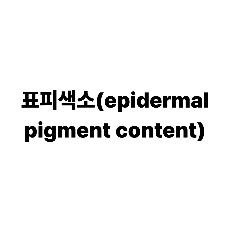 표피 색소