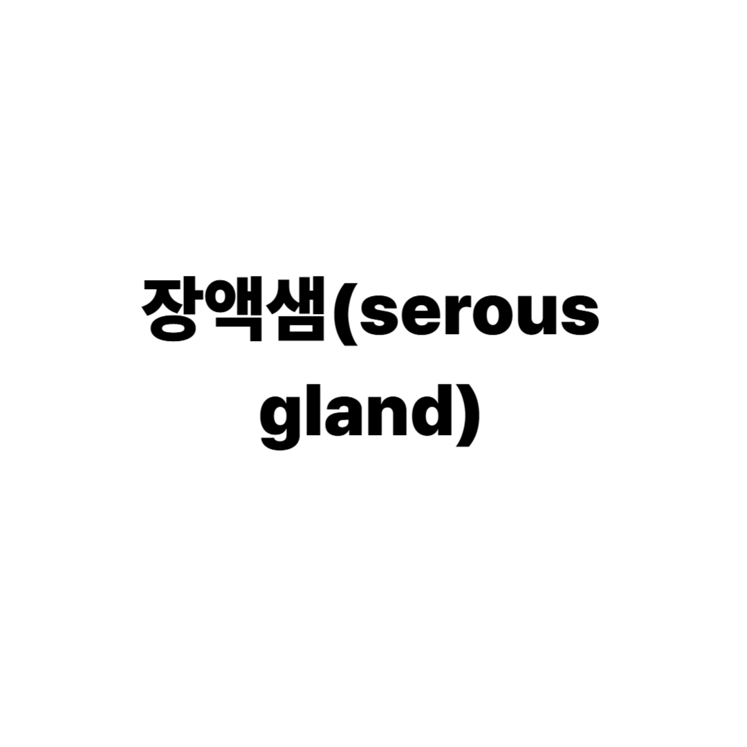 장액샘