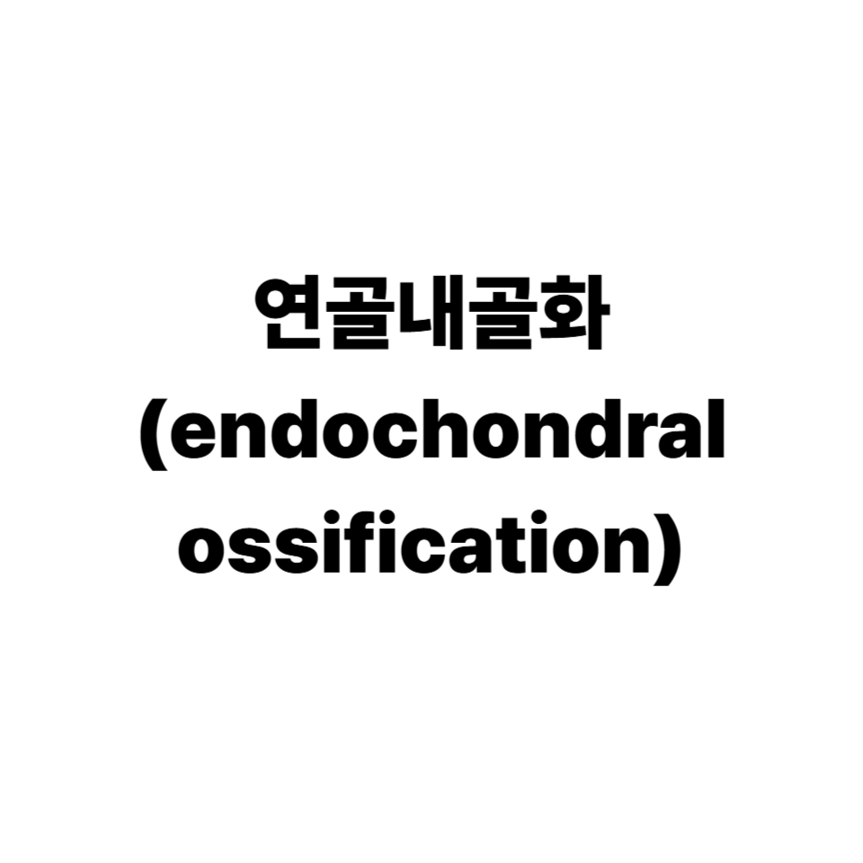 연골내골화