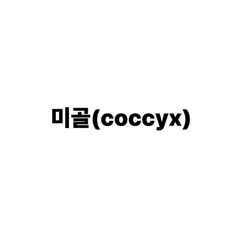 미골(coccyx)