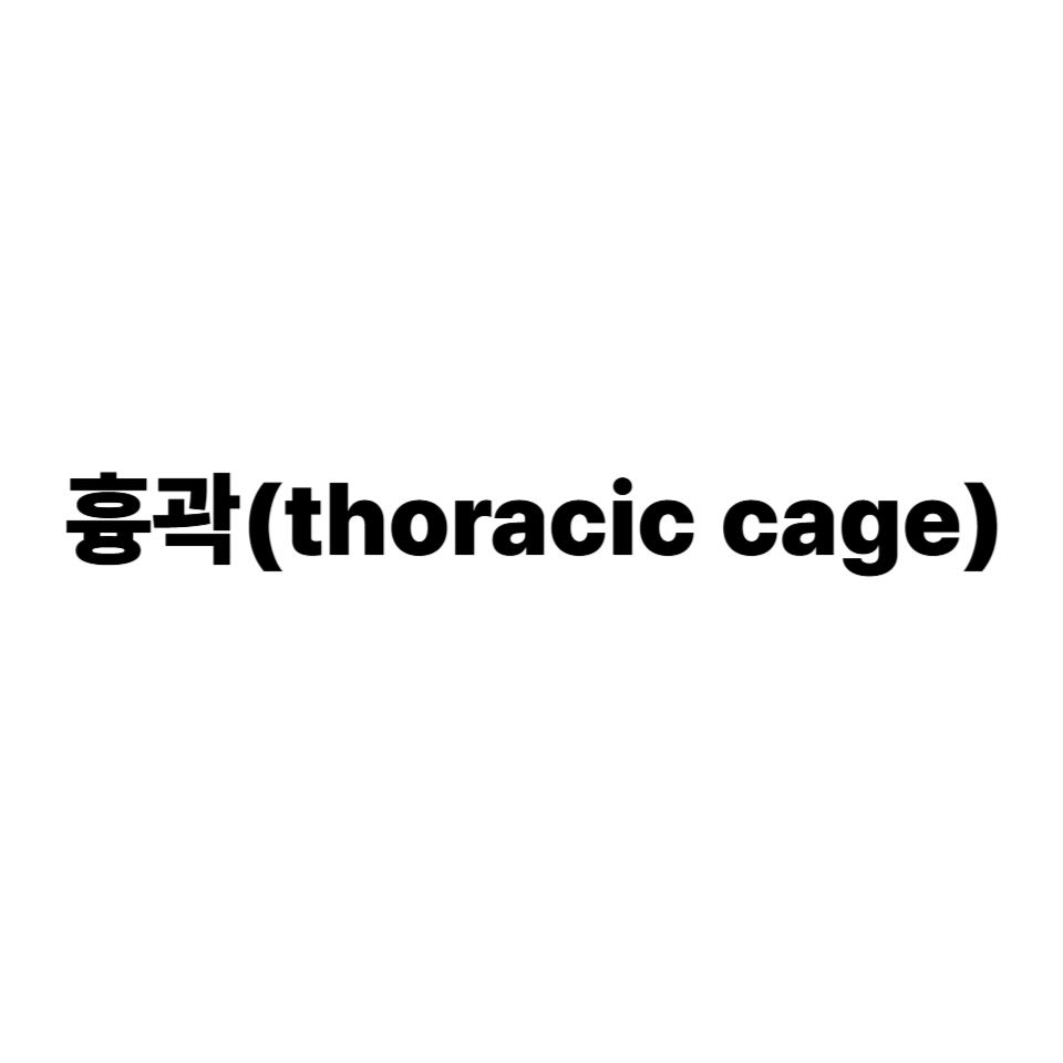 흉곽(thoracic cage)