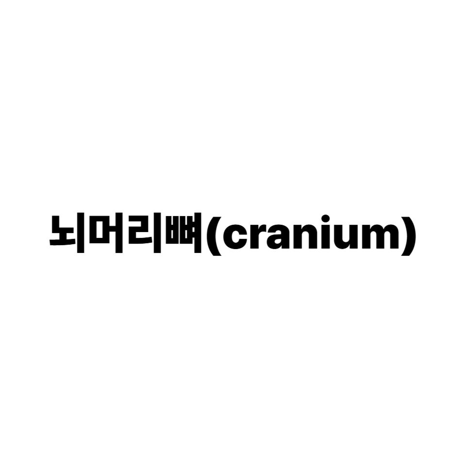 뇌머리뼈(cranium)