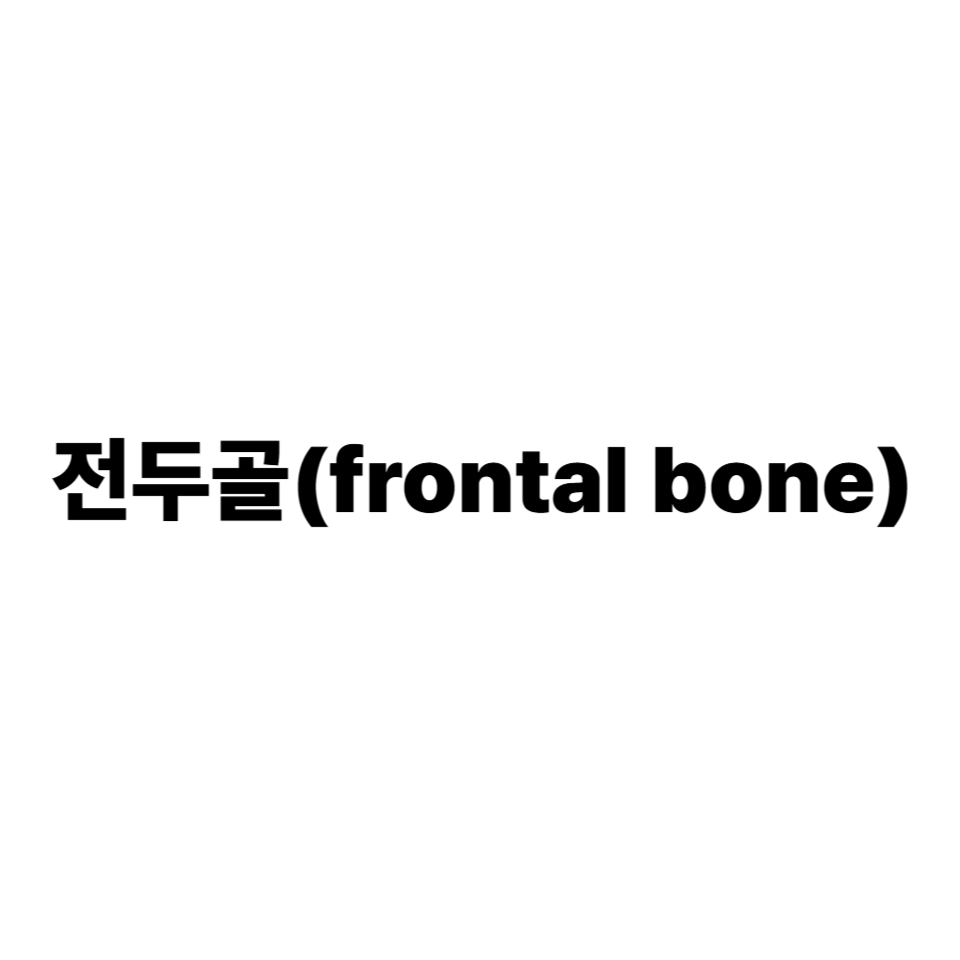 전두골(frontal bone)