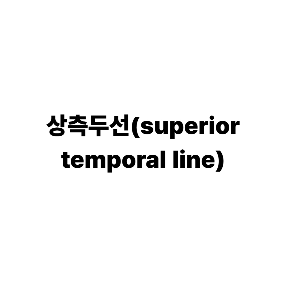 상측두선(superior temporal line)