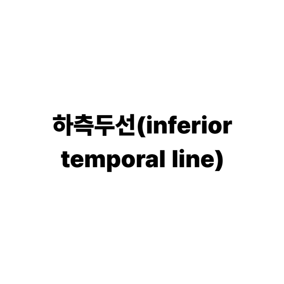 하측두선(inferior temporal line)