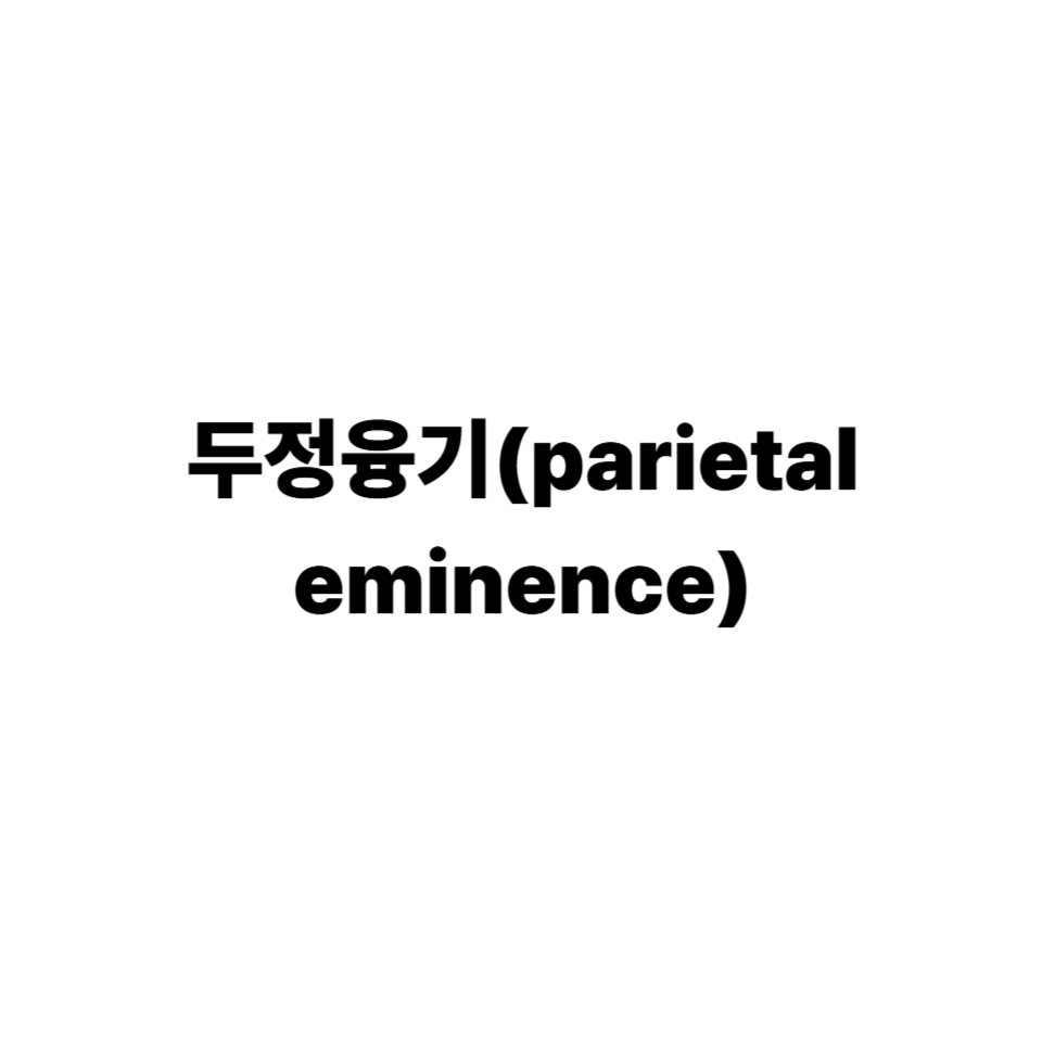 두정융기(parietal eminence)