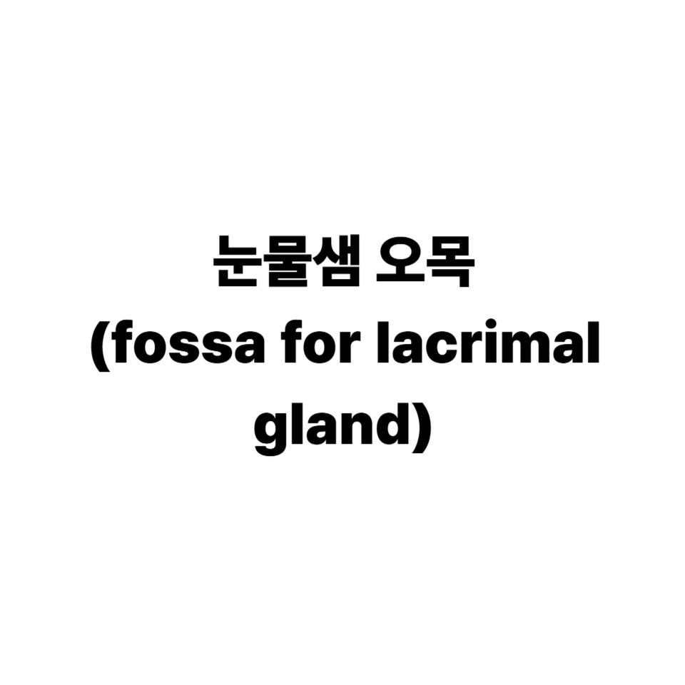 눈물샘 오목(fossa for lacrimal gland)