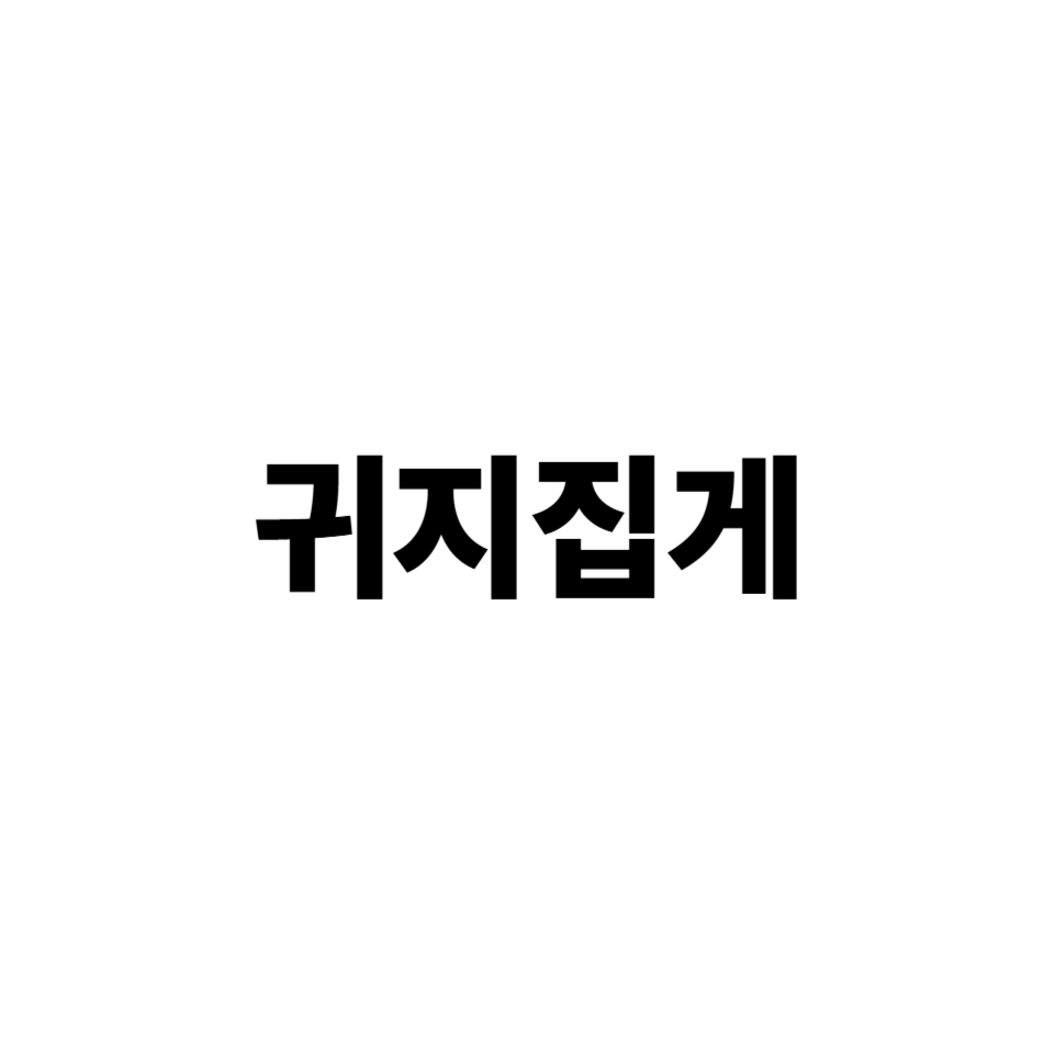 귀지집게