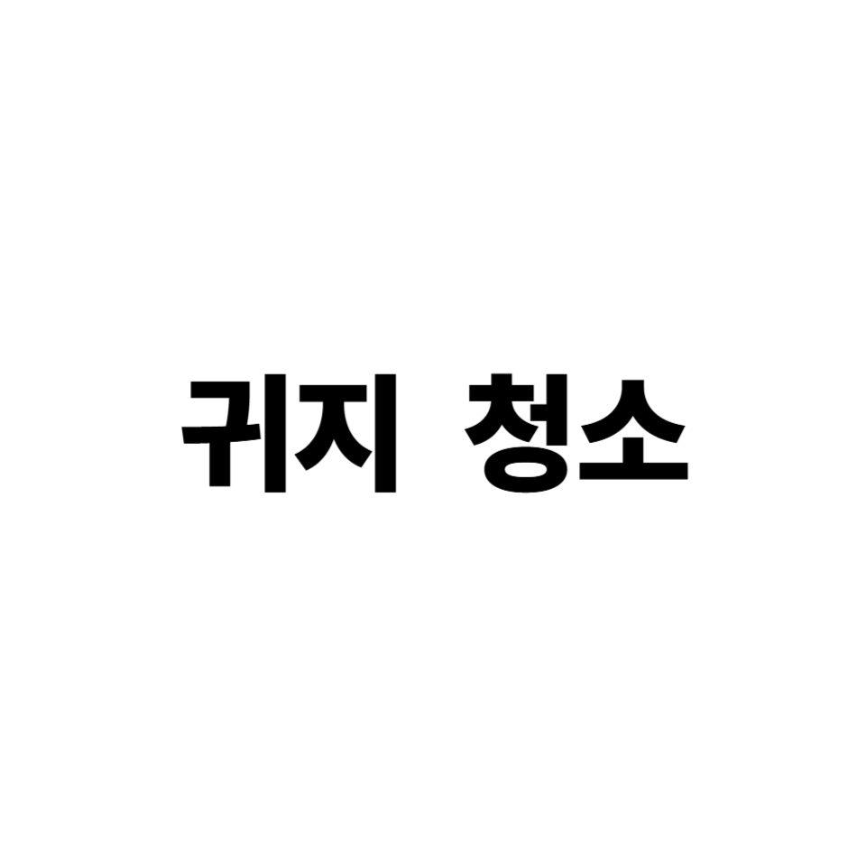 귀지 청소