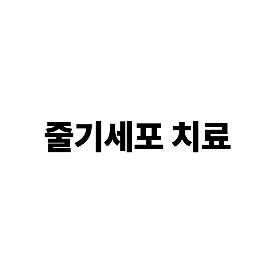 줄기세포 치료