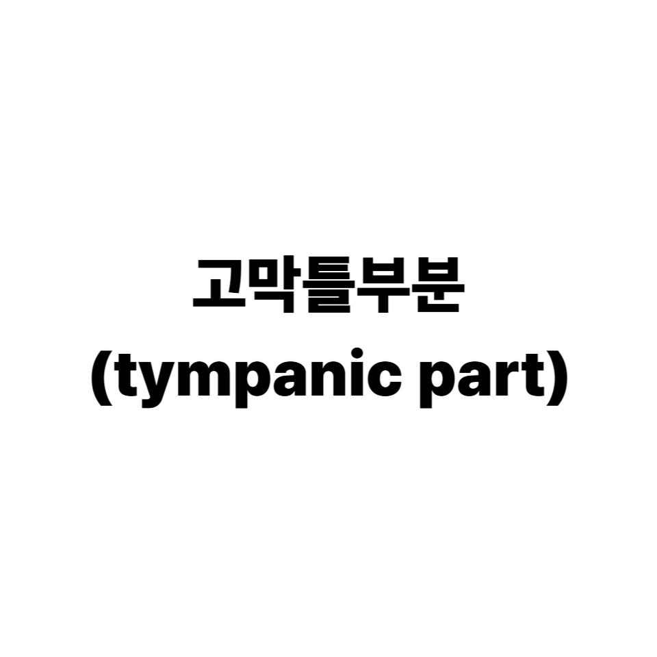 고막틀부분(tympanic part)