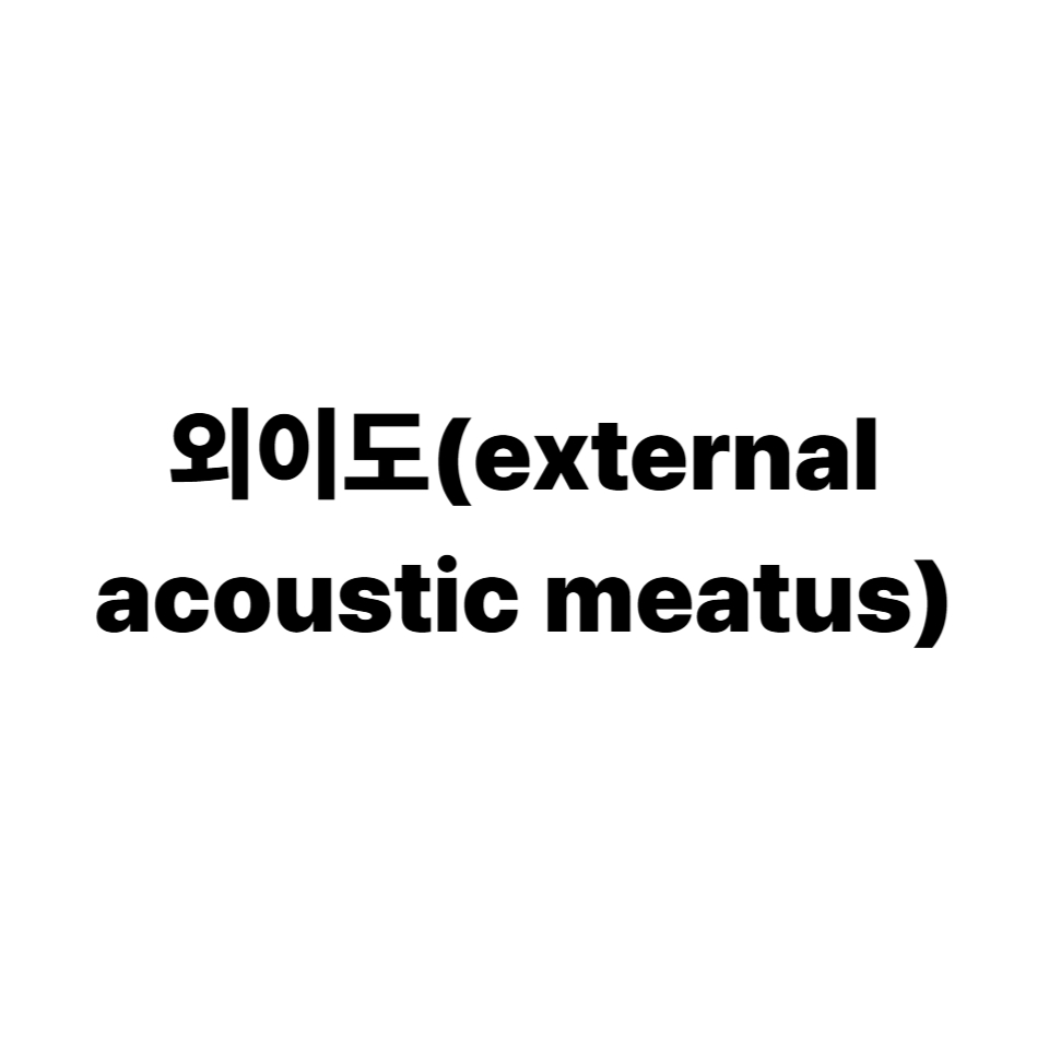 외이도(external acoustic meatus)