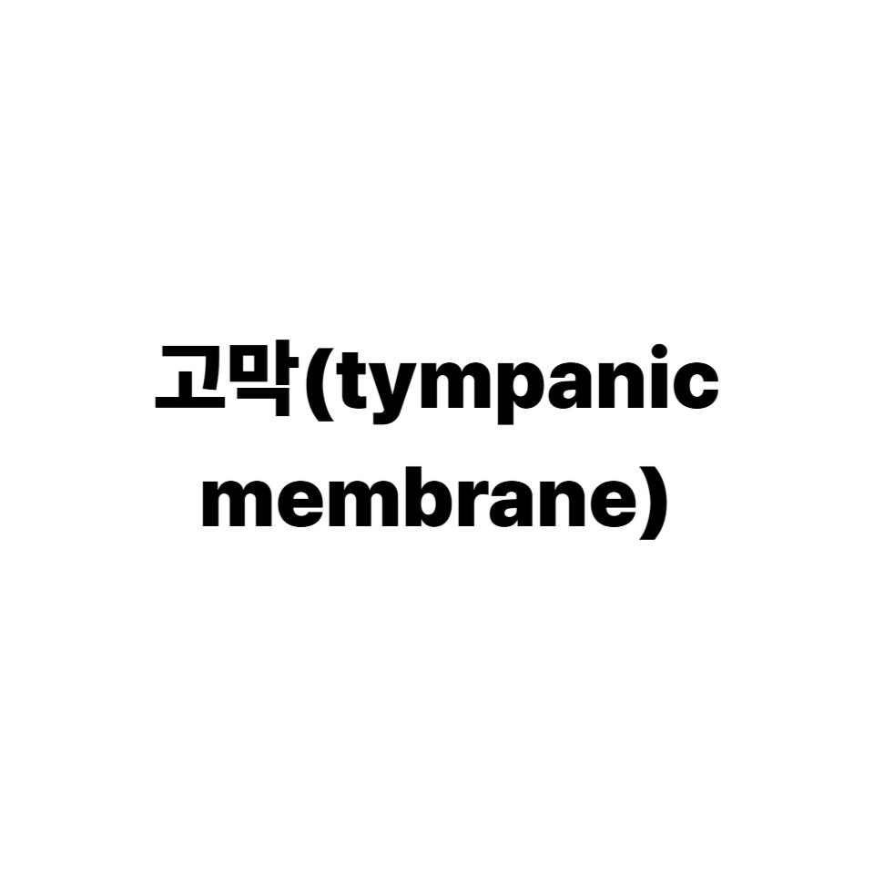 고막