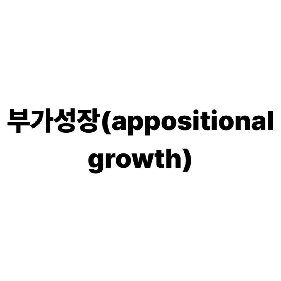 부가성장
