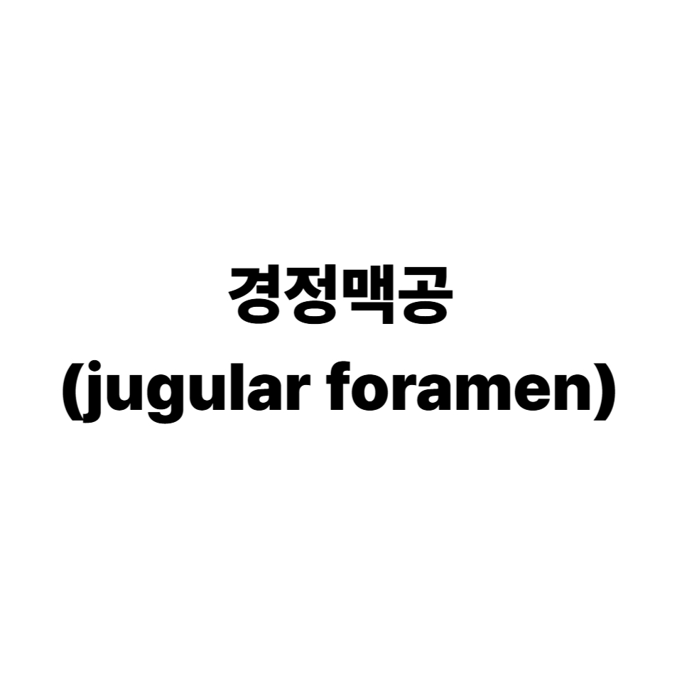경정맥공