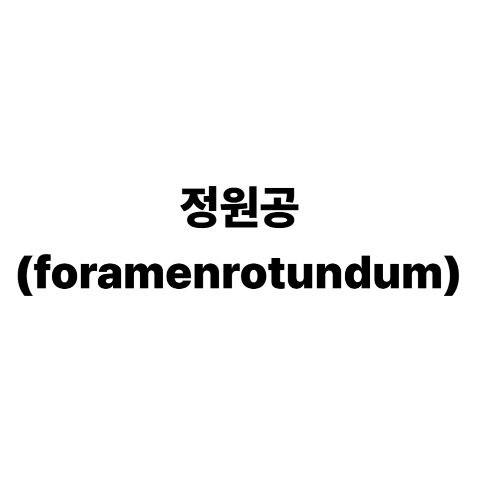 난원공