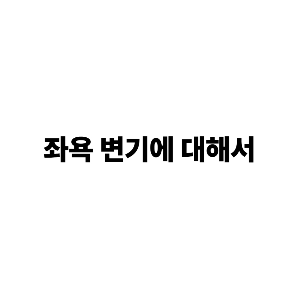 좌욕 변기