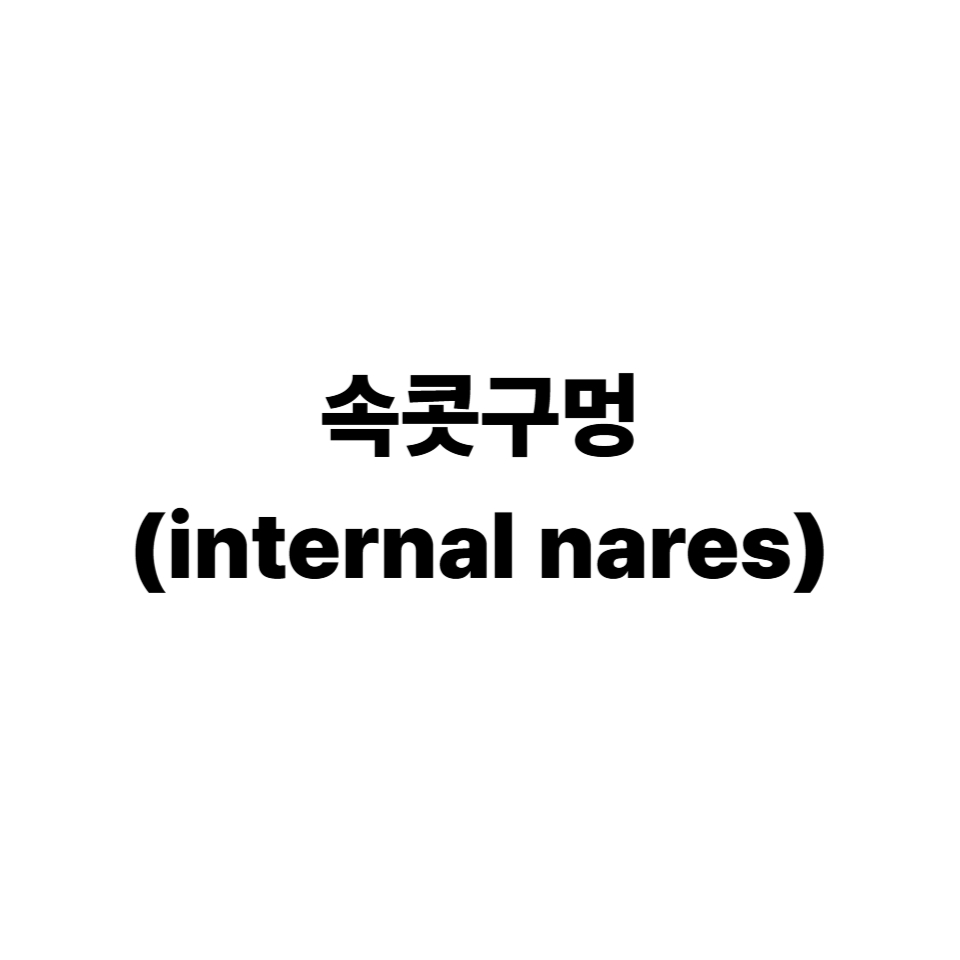 속콧구멍