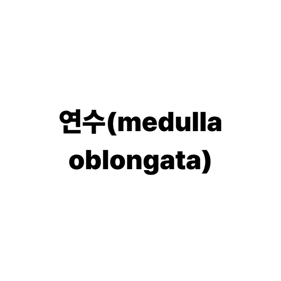 연수