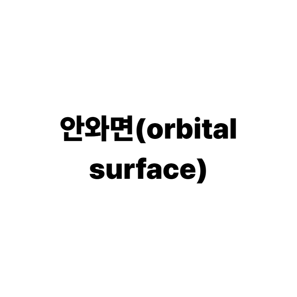 안와면(orbital surface)