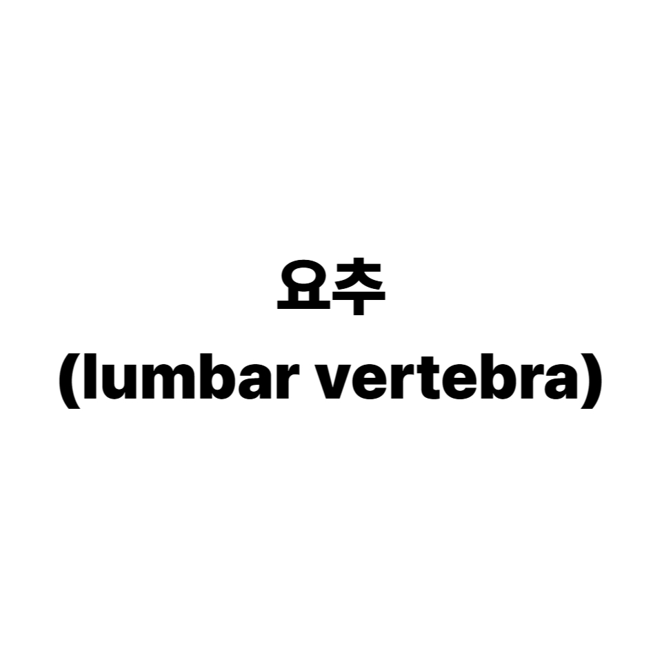 요추