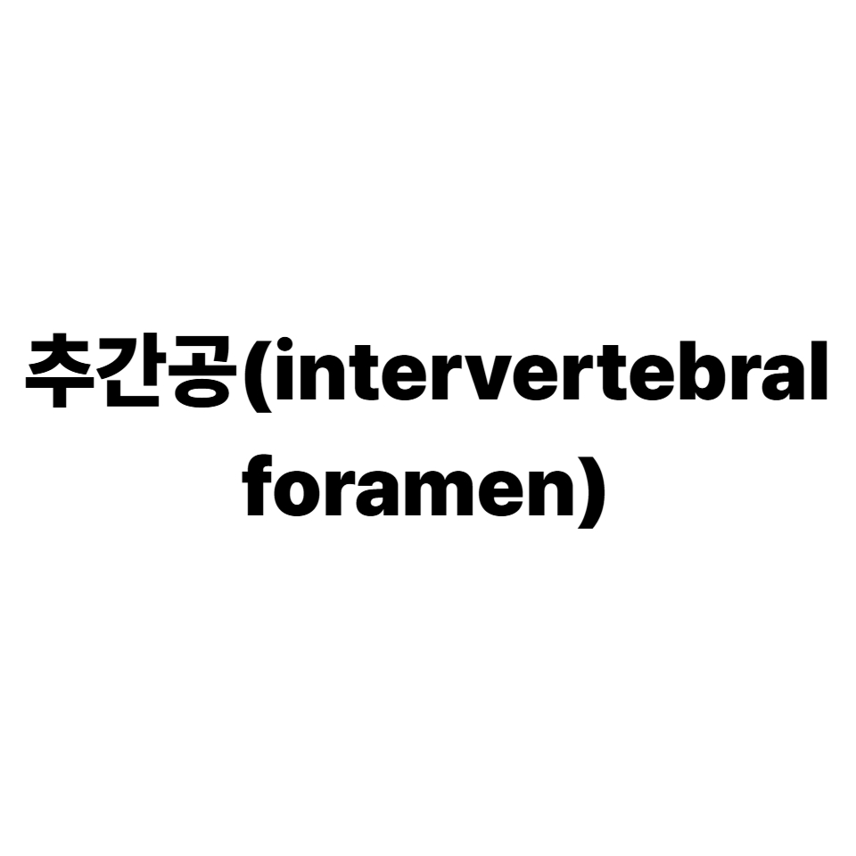 추간공