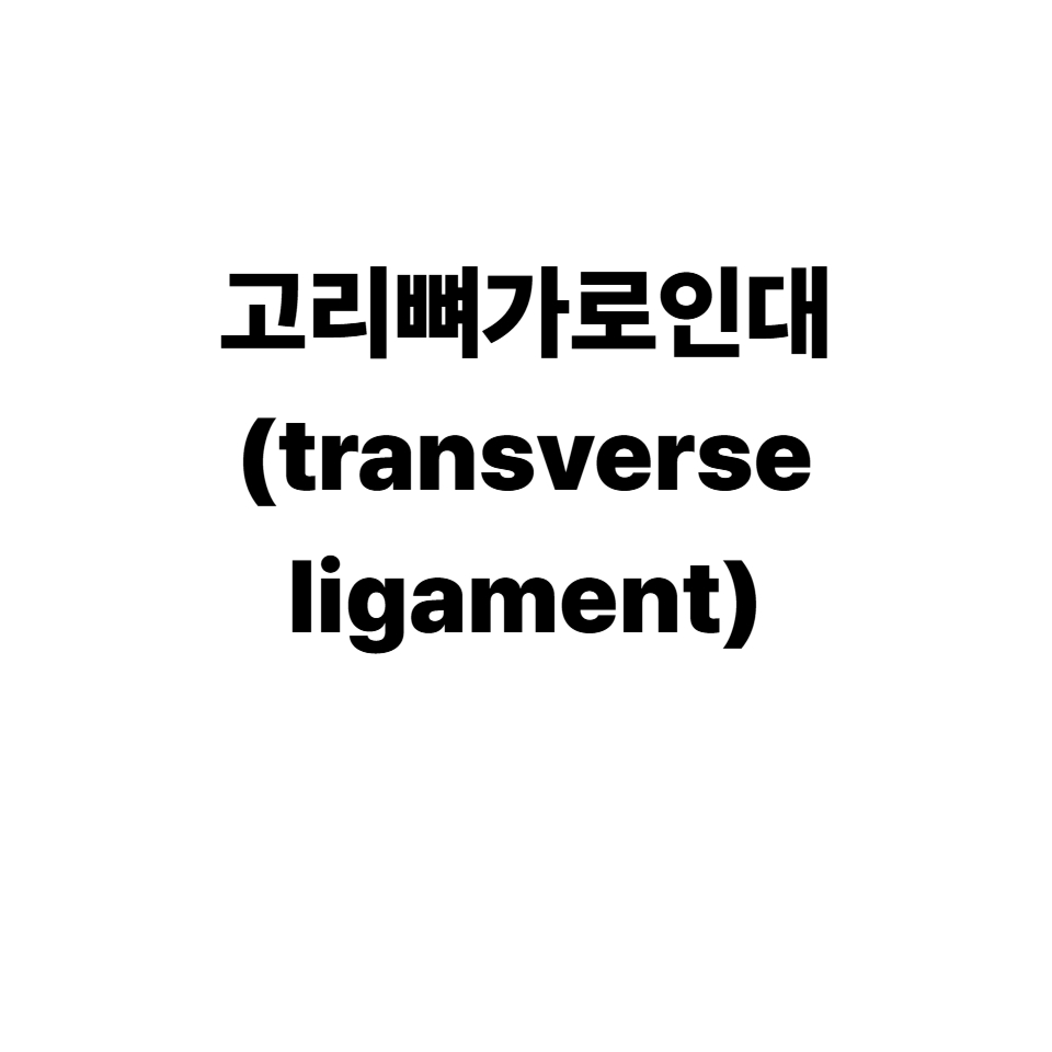 고리뼈가로인대